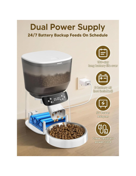 Dispensador Automático de Comida y Fuente de Agua CORGOTE 4L