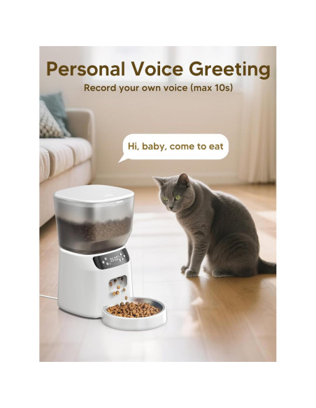 Dispensador Automático de Comida y Fuente de Agua CORGOTE 4L