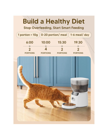 Dispensador Automático de Comida y Fuente de Agua CORGOTE 4L