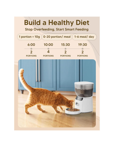 Dispensador Automático de Comida y Fuente de Agua CORGOTE 4L