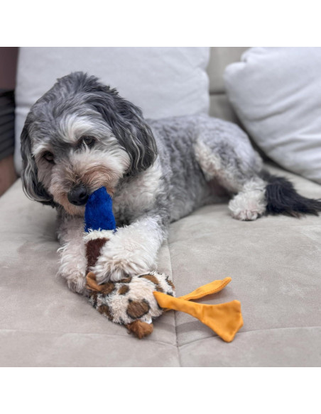 Juguete para Perros SPOT Skinneeez Plus Pato 38cm Sin Relleno