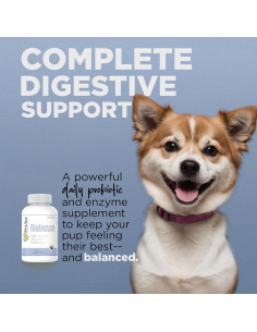 Masticables Probioticos PetJoy 60ct para Perros - Salud Digestiva 2