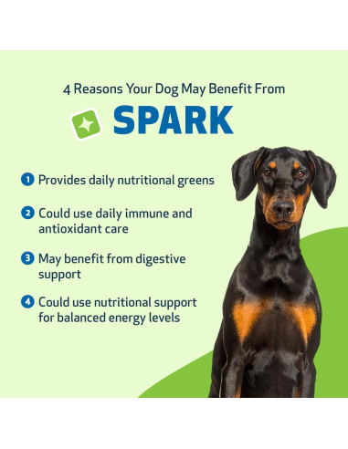 Suplemento Nutricional Pet Wellbeing 100g para Perros y Gatos