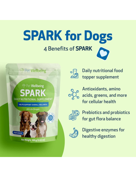 Suplemento Nutricional Pet Wellbeing 100g para Perros y Gatos