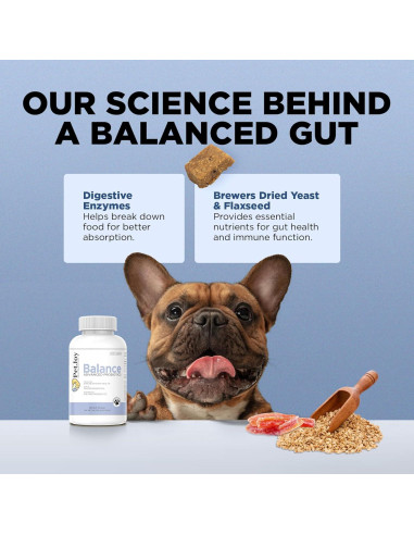 Masticables Probioticos PetJoy 60ct para Perros - Salud Digestiva