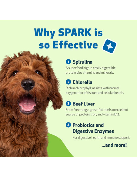 Suplemento Nutricional Pet Wellbeing 100g para Perros y Gatos