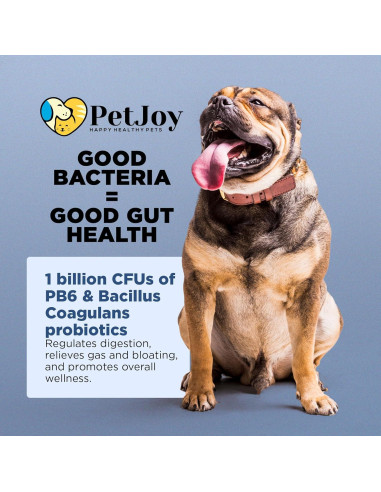 Masticables Probioticos PetJoy 60ct para Perros - Salud Digestiva