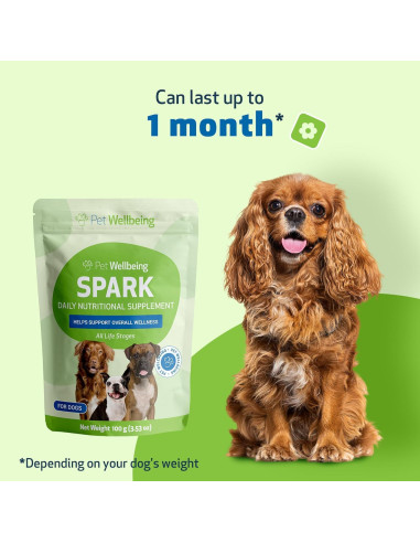 Suplemento Nutricional Pet Wellbeing 100g para Perros y Gatos