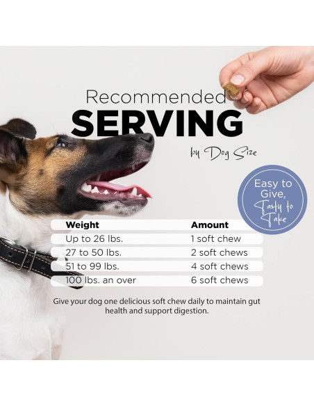 Masticables Probioticos PetJoy 60ct para Perros - Salud Digestiva