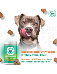 Probioticos Doggie Dailies para Perros - 225 Masticables de Calabaza 2