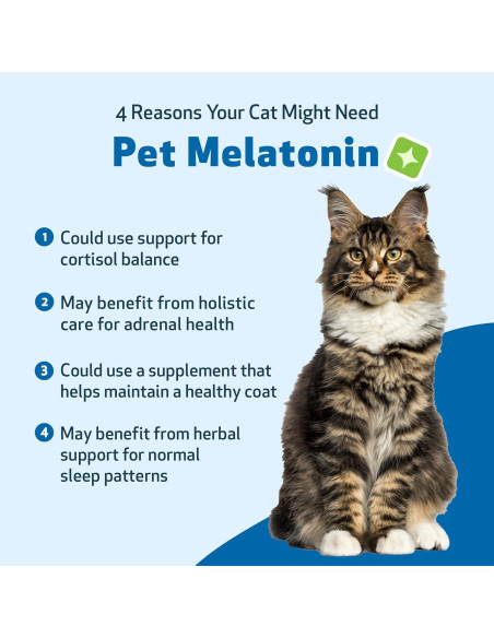 Suplemento de Melatonina para Gatos Pet Wellbeing 59 ml