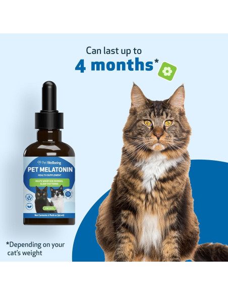 Suplemento de Melatonina para Gatos Pet Wellbeing 59 ml
