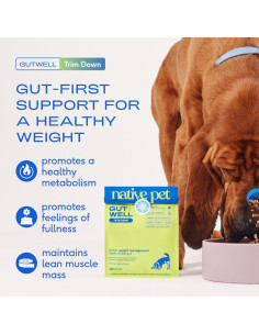 GutWell Trim Down - Suplemento para Pérdida de Peso Canino 60 Cucharadas 2