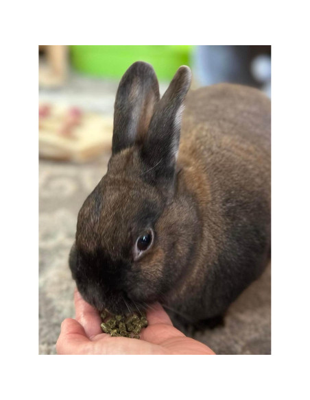 Alimento para Conejos Adultos Sherwood 4.54 kg - Sin Granos y Soja