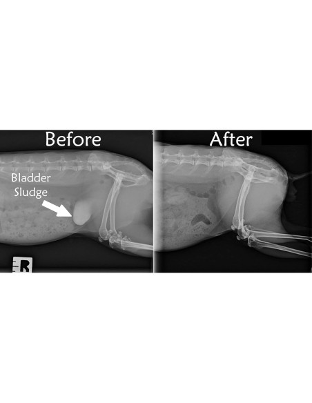 Alimento para Conejos Adultos Sherwood 4.54 kg - Sin Granos y Soja