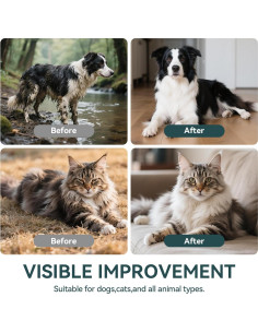 Toallitas de Limpieza para Mascotas WLP 6 PCS Hipoalergénicas 2