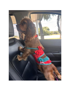 Bikini para Perros IMDOUBLEDOU Mediano Ropa de Verano 2