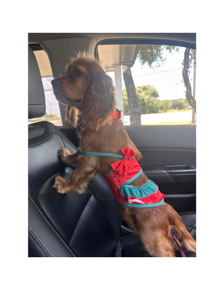 Bikini para Perros IMDOUBLEDOU Mediano Ropa de Verano