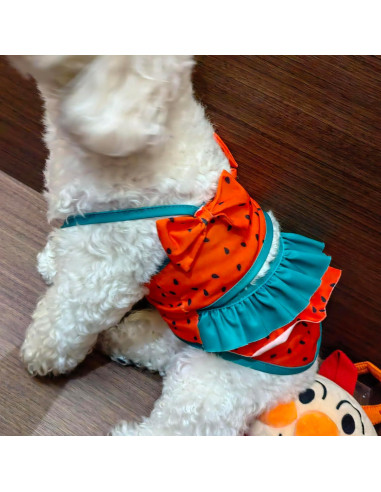 Bikini para Perros IMDOUBLEDOU Mediano Ropa de Verano