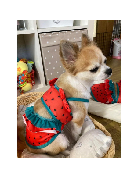 Bikini para Perros IMDOUBLEDOU Mediano Ropa de Verano