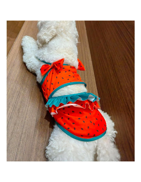 Bikini para Perros IMDOUBLEDOU Mediano Ropa de Verano