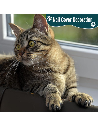 Kit de Aseo para Mascotas 9 en 1 Kritkin - Bolsa de Baño y Herramientas