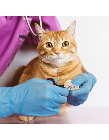 Kit de Aseo para Mascotas 9 en 1 Kritkin - Bolsa de Baño y Herramientas