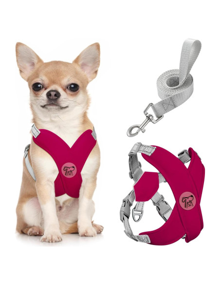 Conjunto Arnés y Correa Pawaboo para Perros Pequeños S Magenta