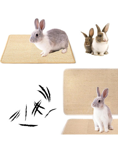 Alfombra Rascadora para Conejos KABASI 2 Piezas 40x30 cm