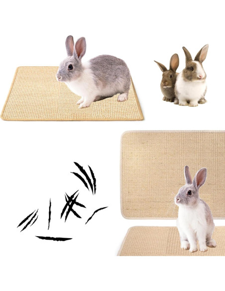 Alfombra Rascadora para Conejos KABASI 2 Piezas 40x30 cm