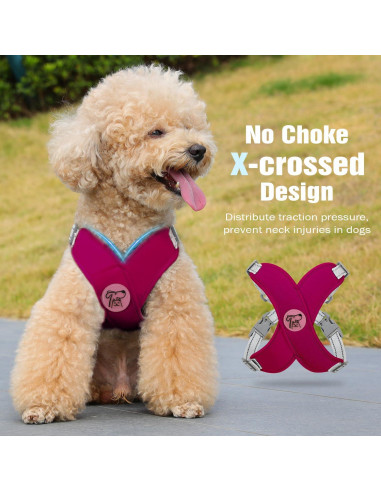 Conjunto Arnés y Correa Pawaboo para Perros Pequeños S Magenta