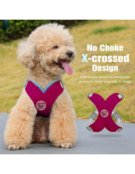 Conjunto Arnés y Correa Pawaboo para Perros Pequeños S Magenta