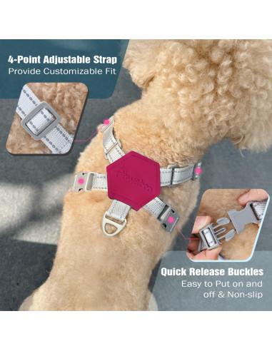 Conjunto Arnés y Correa Pawaboo para Perros Pequeños S Magenta