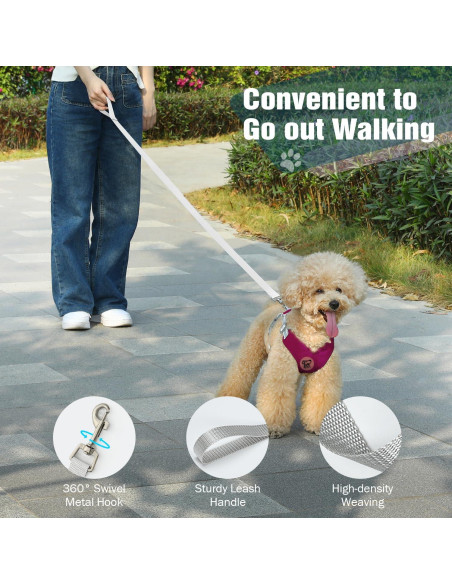 Conjunto Arnés y Correa Pawaboo para Perros Pequeños S Magenta