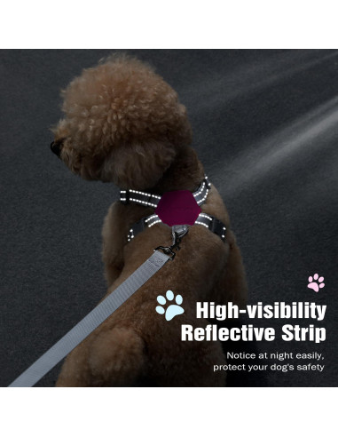 Conjunto Arnés y Correa Pawaboo para Perros Pequeños S Magenta