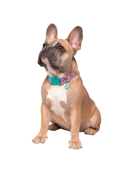 Collar para mascotas Squishmallows Jazwares Mediano - Diseño divertido