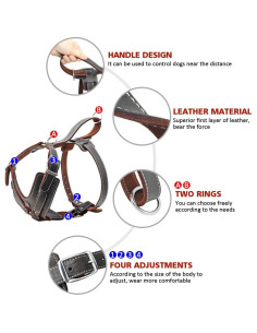 Arnés de Cuero Happierpet 2XL Ajustable para Perros Grandes 2