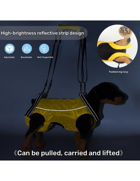 Arnés de Elevación para Perros LAROTSUBA Rojo Grande