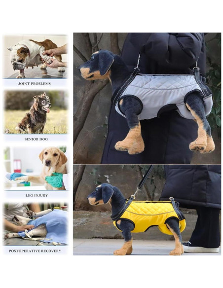 Arnés de Elevación para Perros LAROTSUBA Rojo Grande