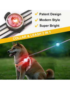 Luces LED para perros Tubasion - Paquete de 2, recargables, IPX6 2
