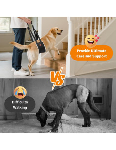 Sling Portátil para Perros Loobani - Arnés Soporte Cadera Grande 2