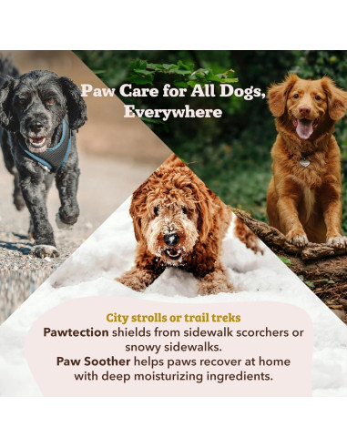 Bálsamo Soothing Natural Dog Company 4.25 g para Patas Secas