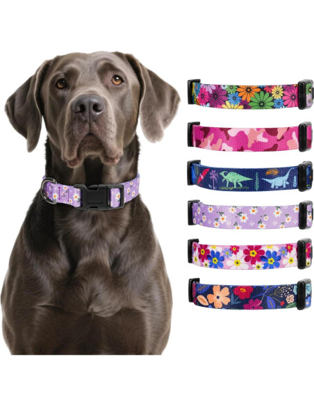 Collar de Reemplazo Rhea Rose Pequeño Floral Rosa 25-30 cm