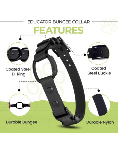 Collar Bungee para e-Collar Pawsitive Pet 1.9 cm Azul Claro 2