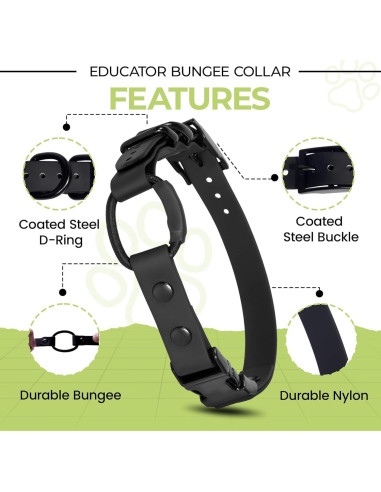 Collar Bungee para e-Collar Pawsitive Pet 1.9 cm Azul Claro