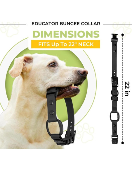 Collar Bungee para e-Collar Pawsitive Pet 1.9 cm Azul Claro