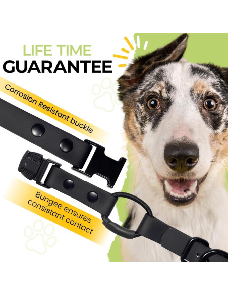 Collar Bungee para e-Collar Pawsitive Pet 1.9 cm Azul Claro