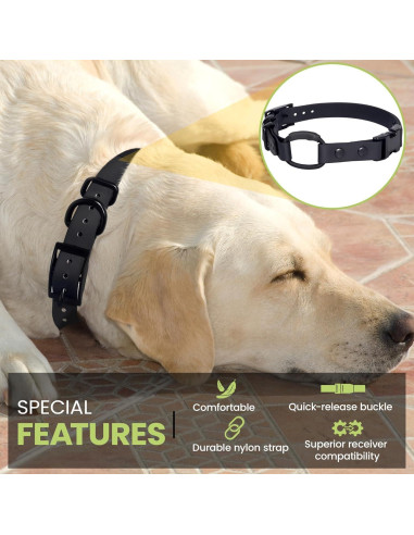 Collar Bungee para e-Collar Pawsitive Pet 1.9 cm Azul Claro