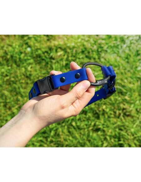 Collar Bungee para e-Collar Pawsitive Pet 1.9 cm Azul Claro