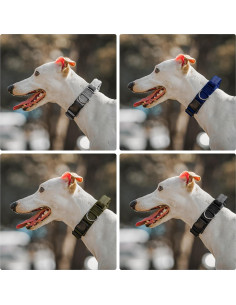 Collar Táctico para Perros OneTigris Negro Ajustable S 2